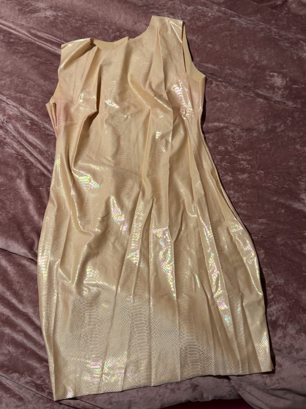 Iridescent Champagne Snake Skin Dress